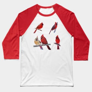 Northern Cardinals collection Baseball T-Shirt